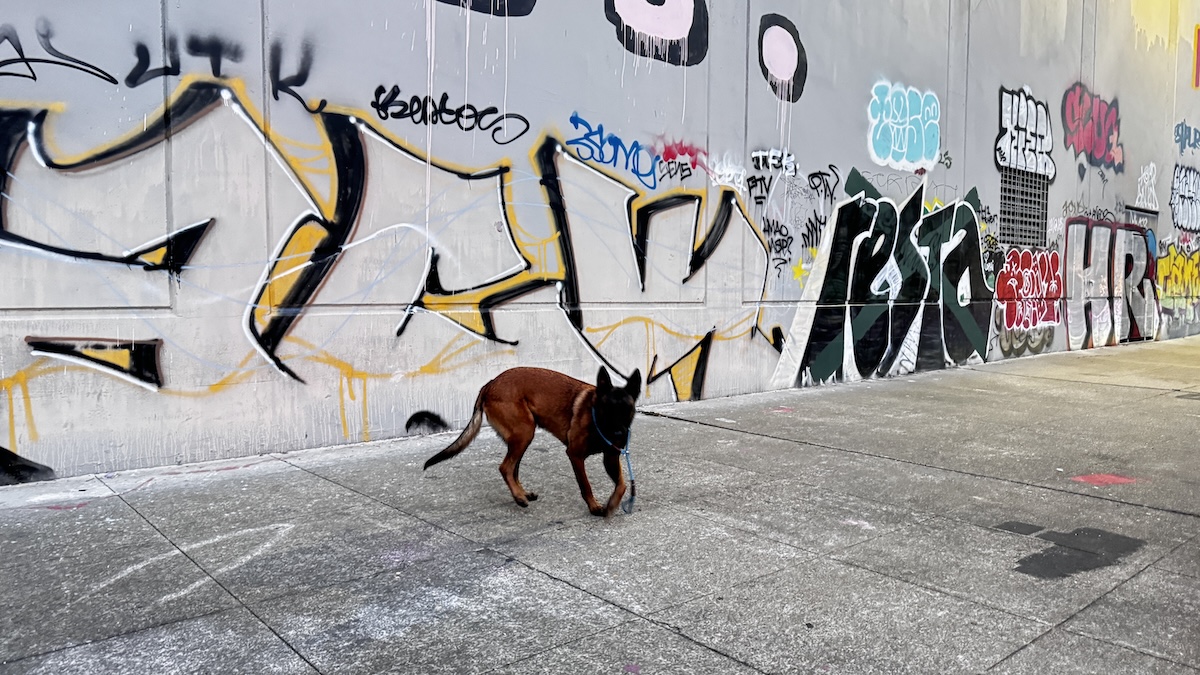 Bronx and I at the wall